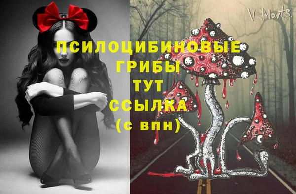 соль ск Зерноград